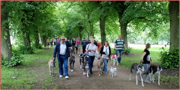 tynemouth great british greyhound walk